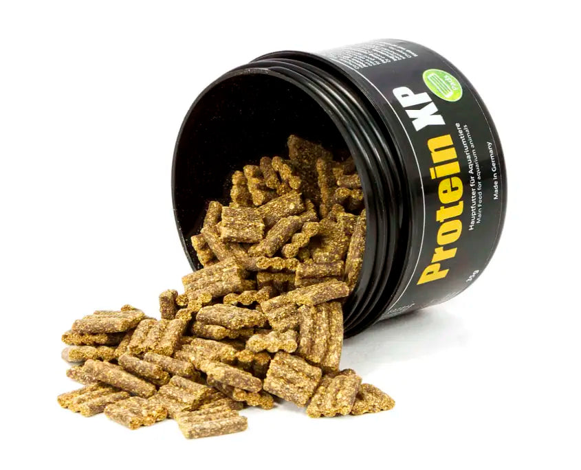 Glasgarten Protein XP what it looks like