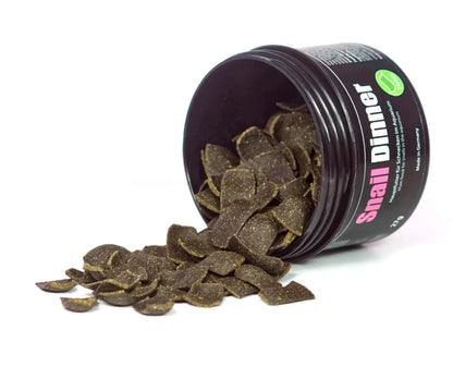 Snail dinner in an open container on a white background Glasgarten